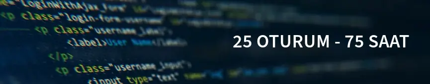 web tasarım ve front-end uzmanlığı sertifika programı