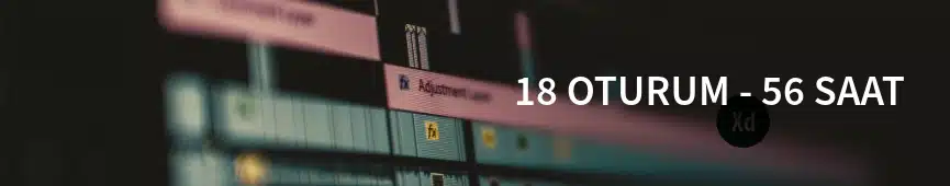 motion design
